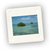 Saona (26).JPG